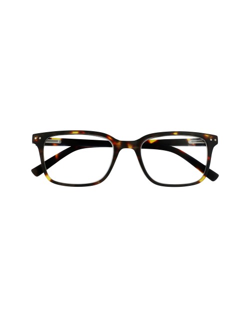 CHESTER - Reading glasses turtle