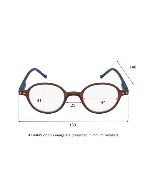 BROWN & BLUE - Reading glasses